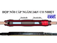 Hộp nối cáp ngầm trung thế CEET