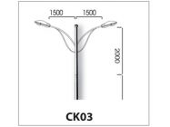 Cần đèn kép CK3