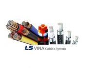 LS Vina