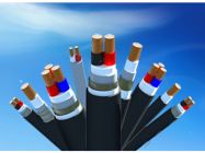 Dây và cáp điện lực hạ thế