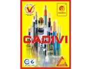 Cadivi